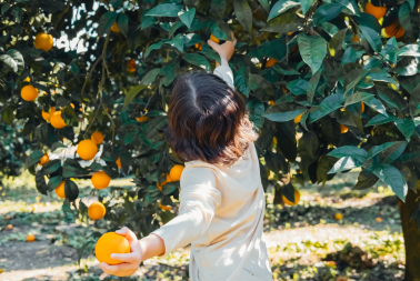 Deposito Primi Frutti (0-17 anni)