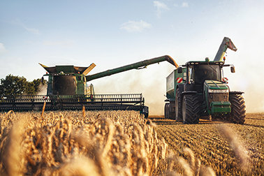 MUTUI BEI – AGRI 100%