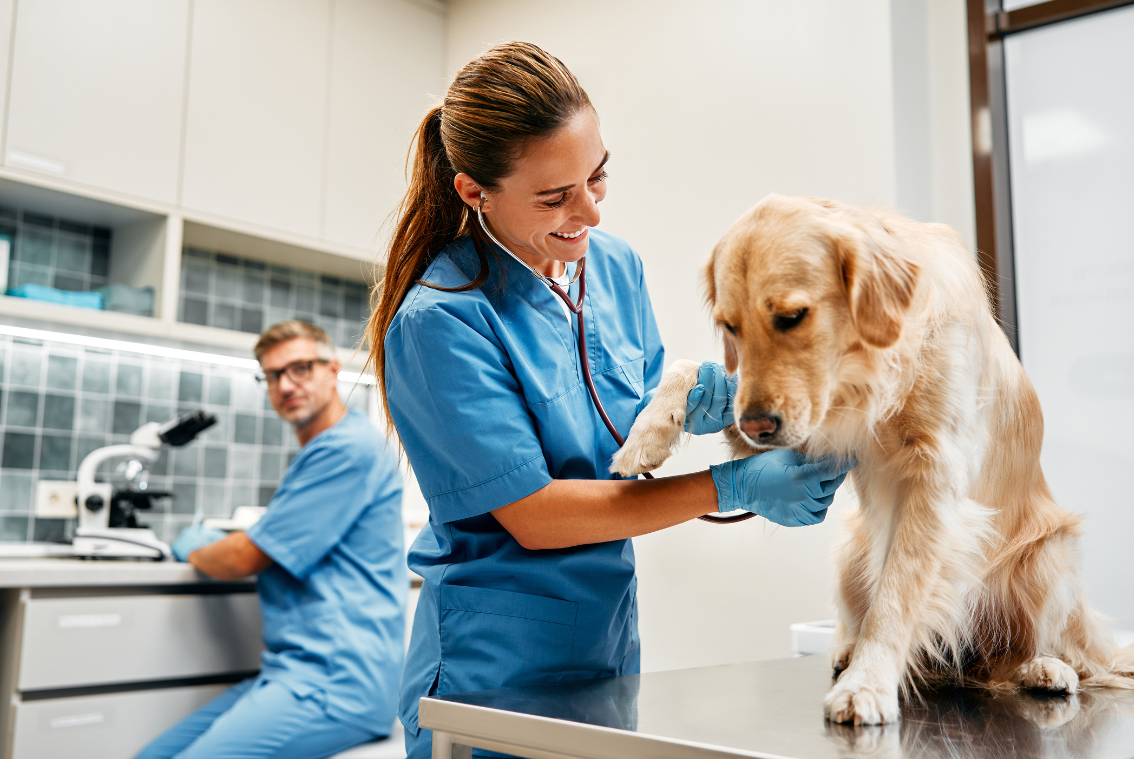 ENPAV - Ente Nazionale di Previdenza ed Assistenza dei Veterinari
