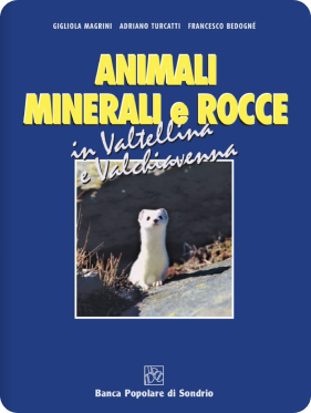 Animali minarali e rocce